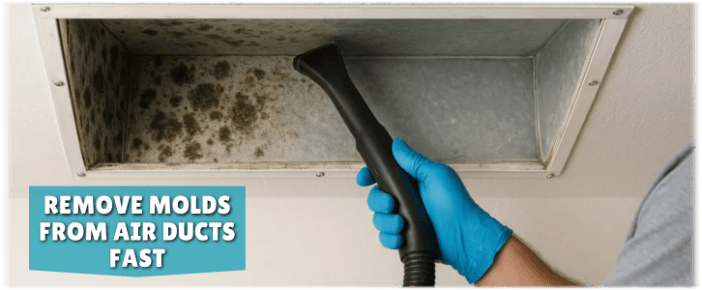 Air Duct Mold Removal in Waldorf MD